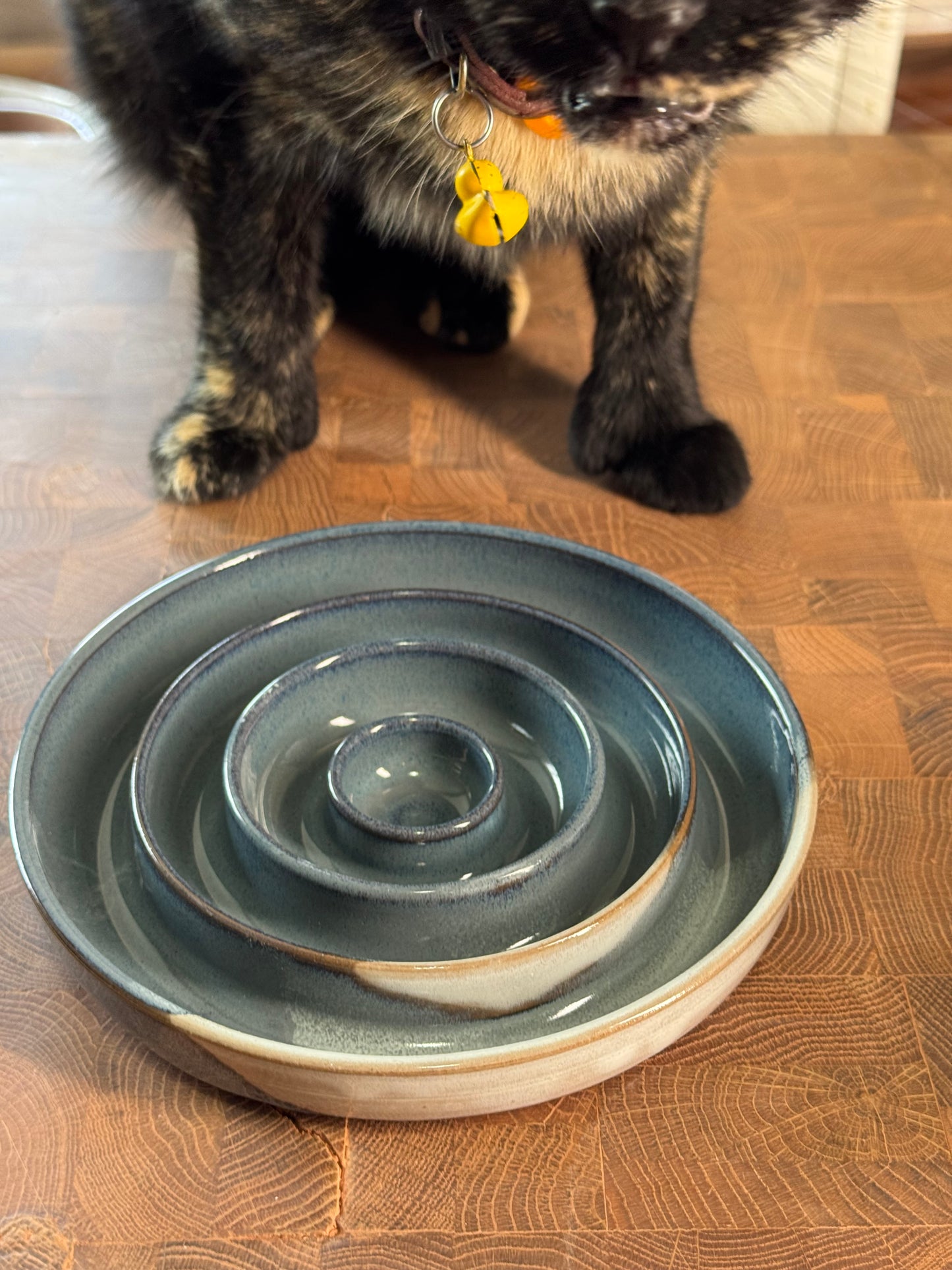Slow Feeder Bowl- medium