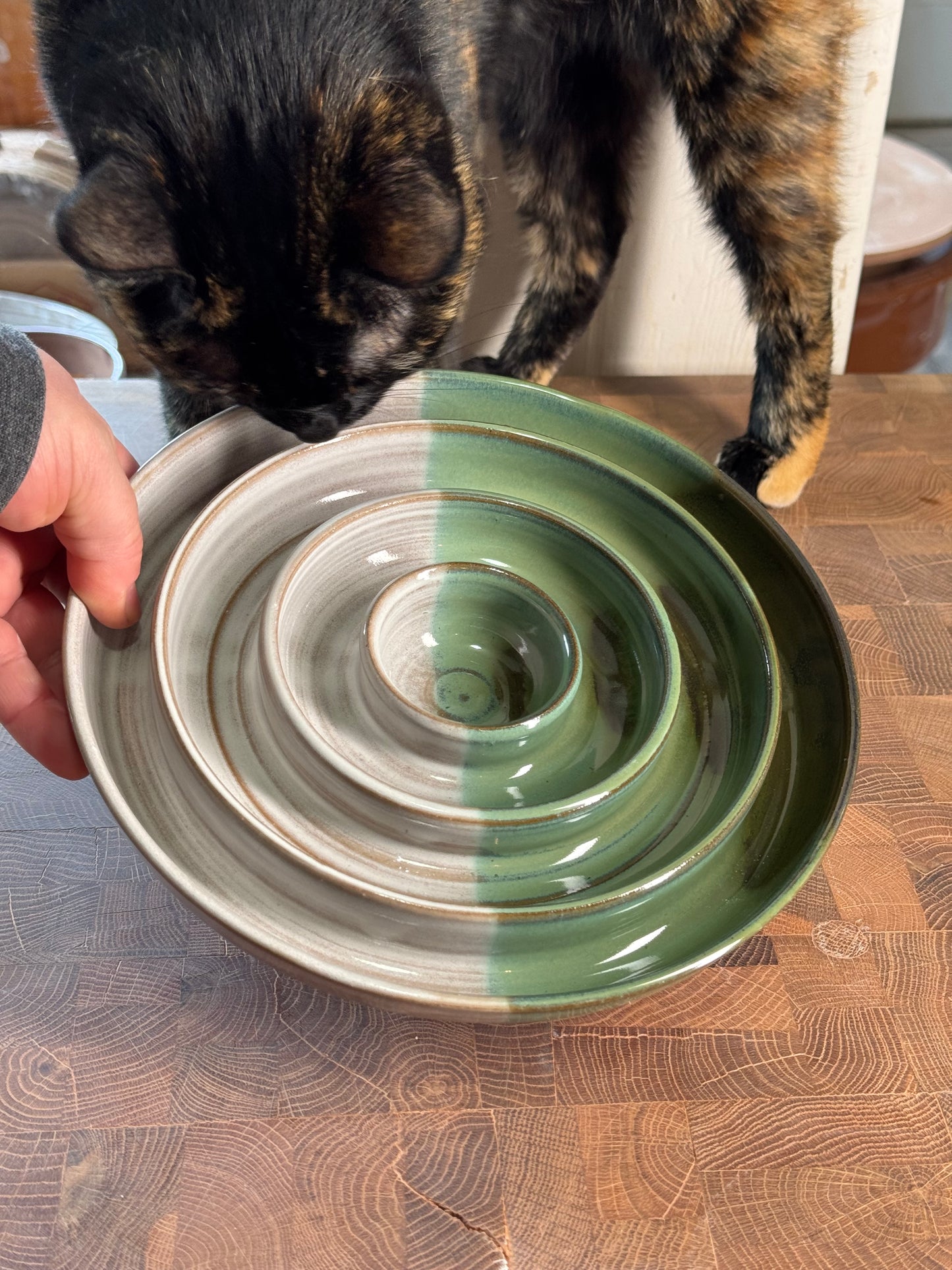 Slow Feeder Bowl- large