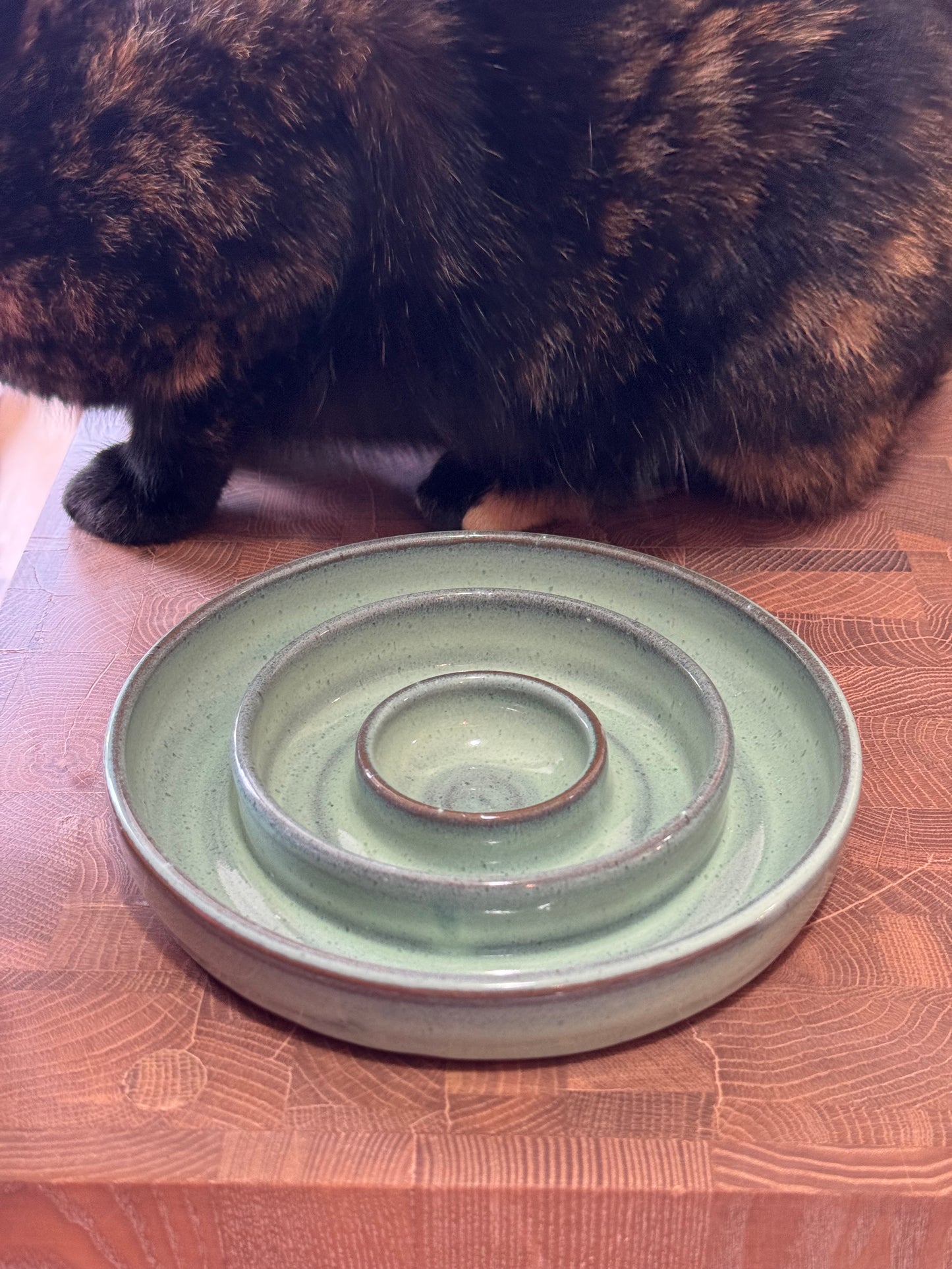 Slow Feeder Bowl- medium