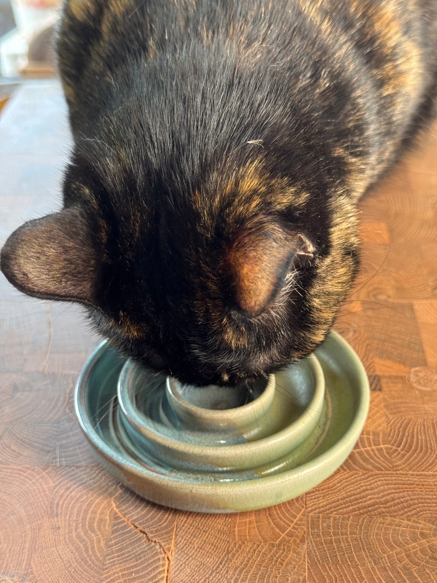 Slow Feeder Bowl- small