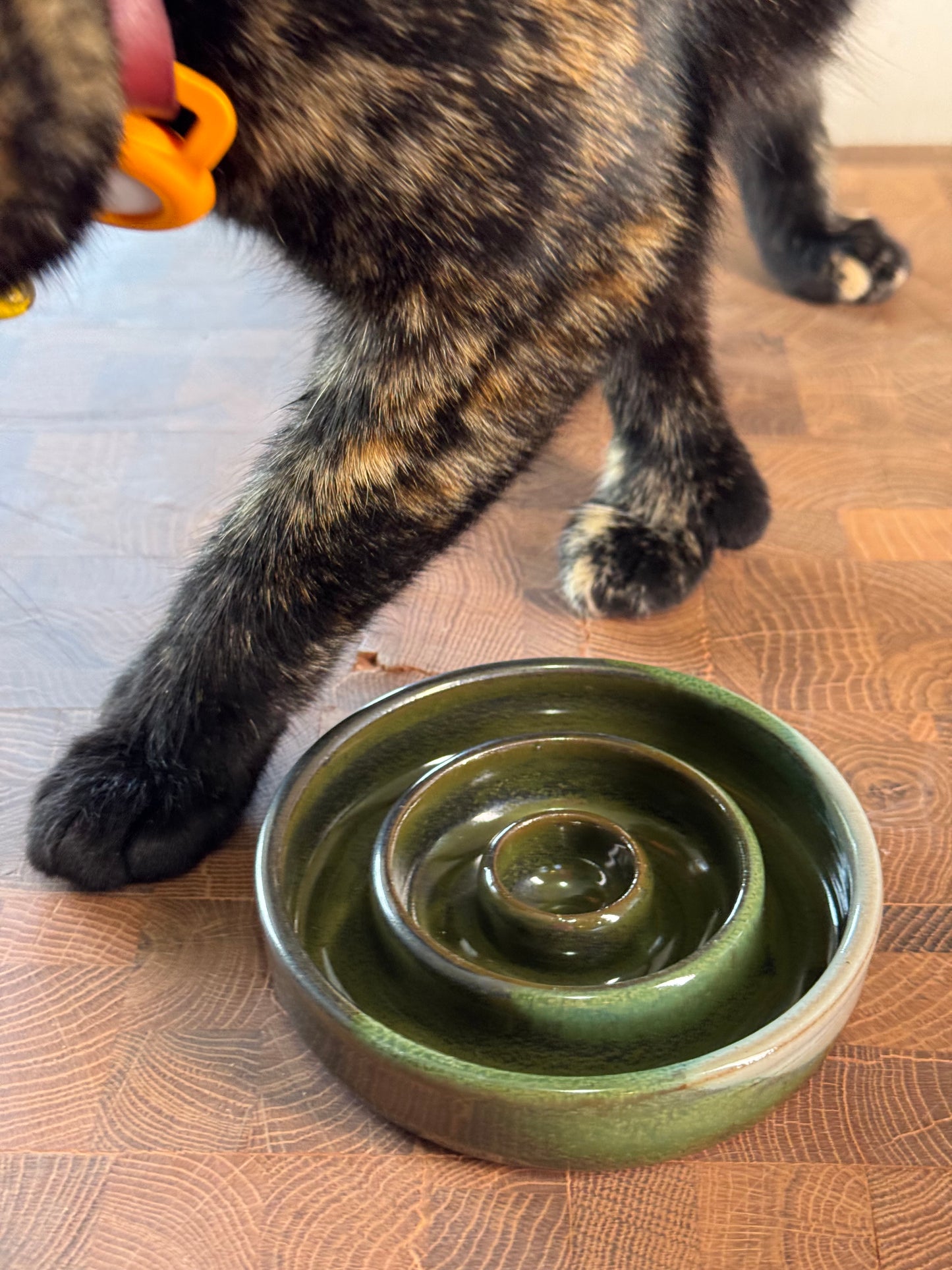 Slow Feeder Bowl- small