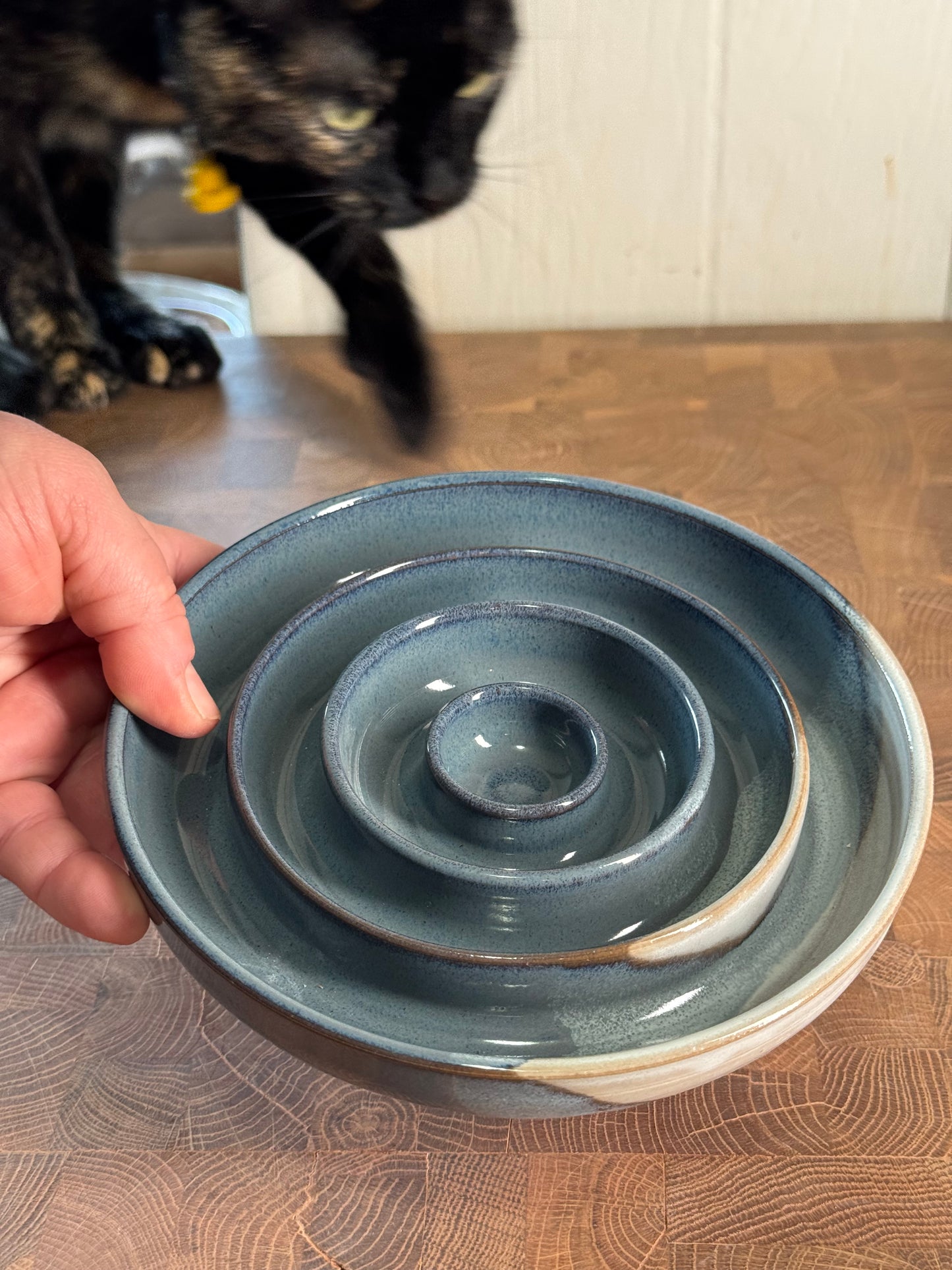Slow Feeder Bowl- medium